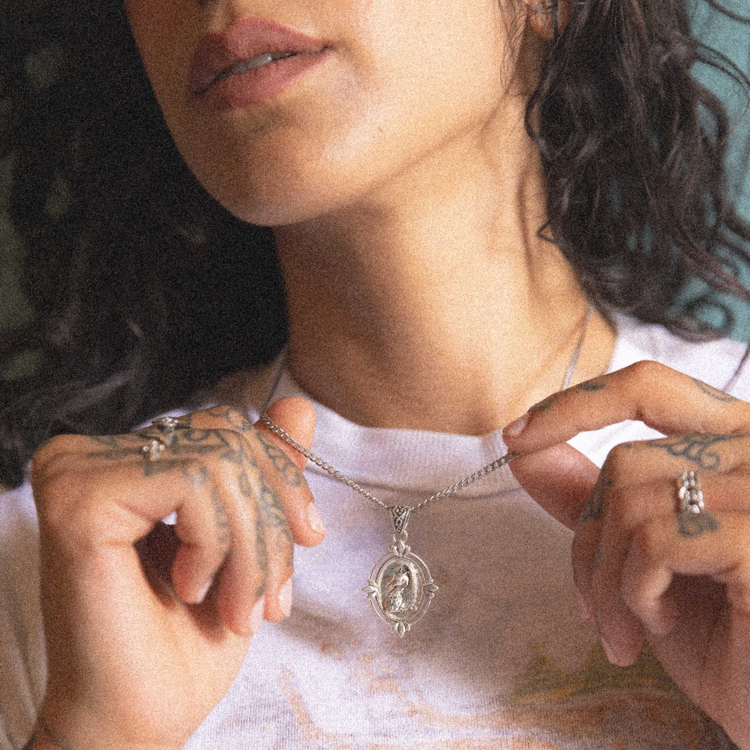 Cavalla - Image 3