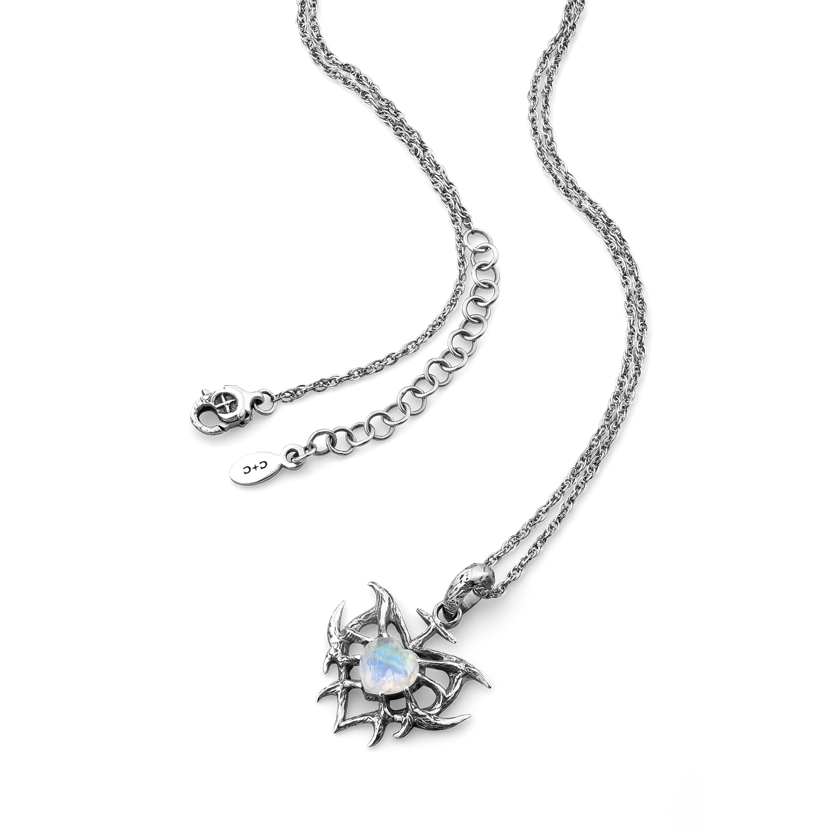 Venus Crowned - Image 2