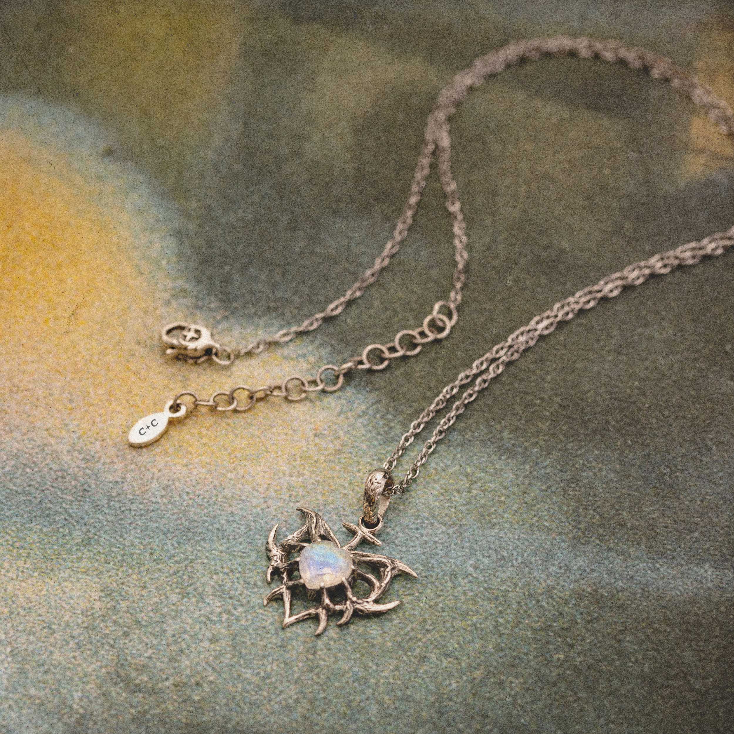 Venus Crowned - Image 4