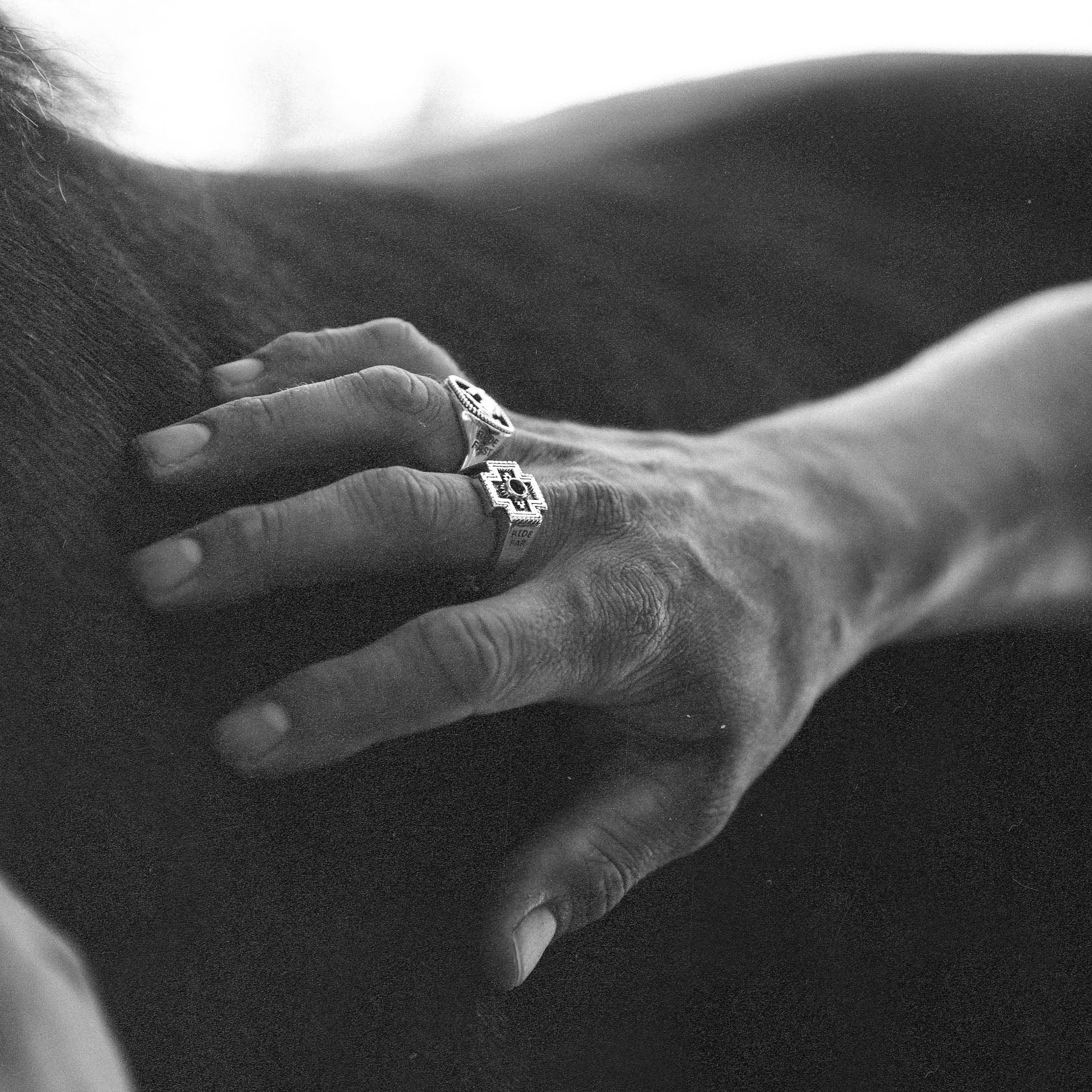 Rodeo x Diamond Cross Ranch - Image 6