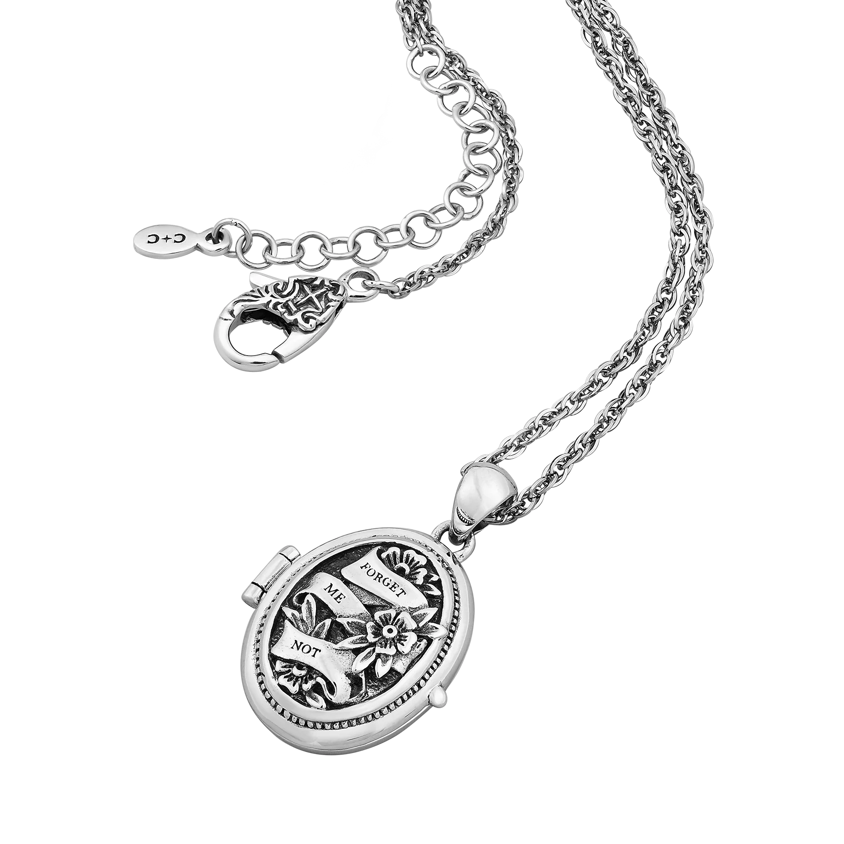 Forget Me Not - Image 4